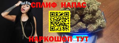СК Гусев