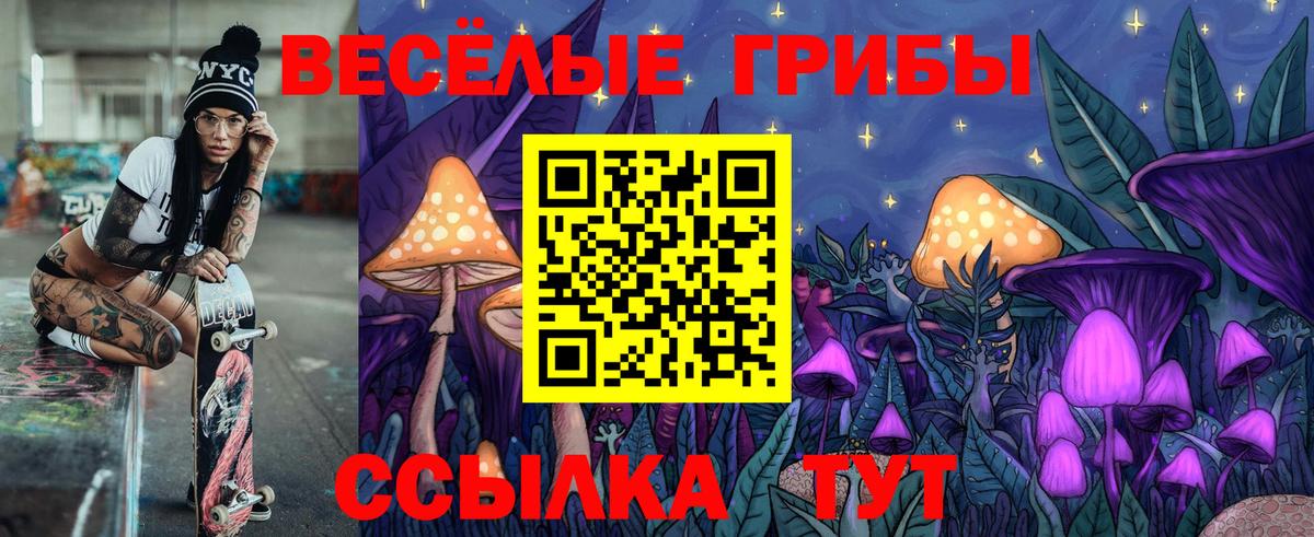 Псилоцибиновые грибы мицелий Касимов