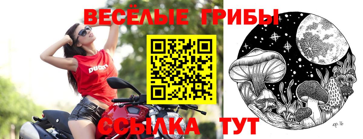 Галлюциногенные грибы Cubensis  Вход с VPN  Касимов 
